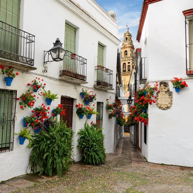 Апартаменты El Patio De San Miguel Кордова Экстерьер фото