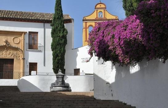 Апартаменты El Patio De San Miguel Кордова Экстерьер фото